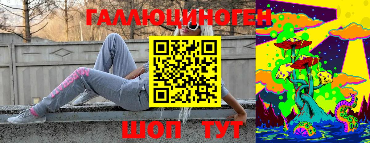 Галлюциногенные грибы Psilocybine cubensis Люберцы