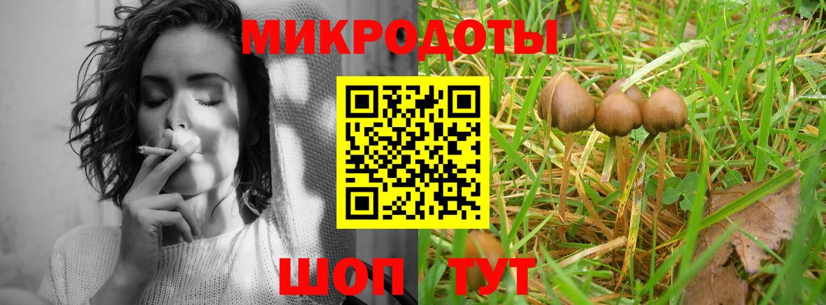 Галлюциногенные грибы Psilocybine cubensis  Вход с VPN  Псилоцибиновые грибы GOLDEN TEACHER  Люберцы 